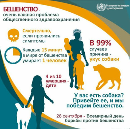 бешенство статистика1